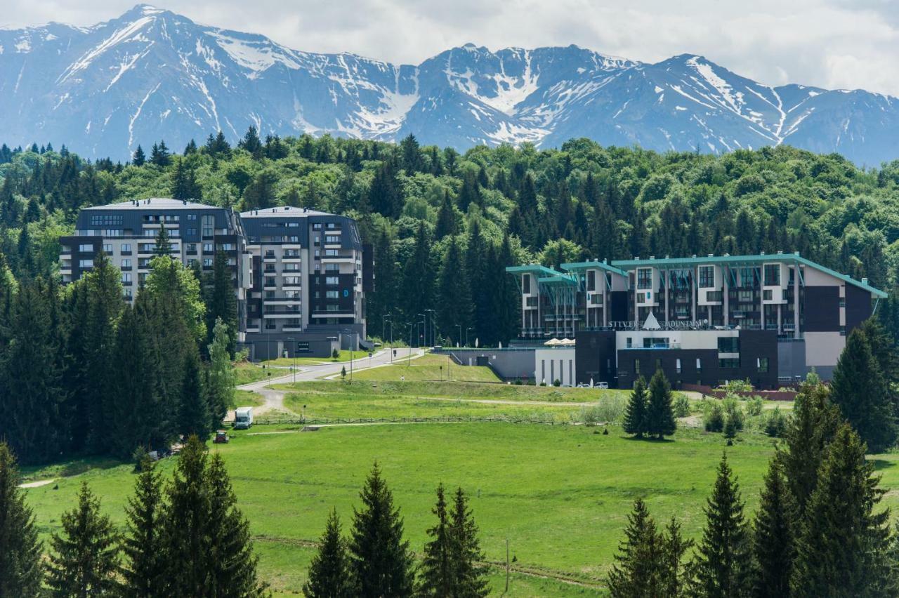 Twin Studio Silver Mountain Poiana Brasov Luaran gambar